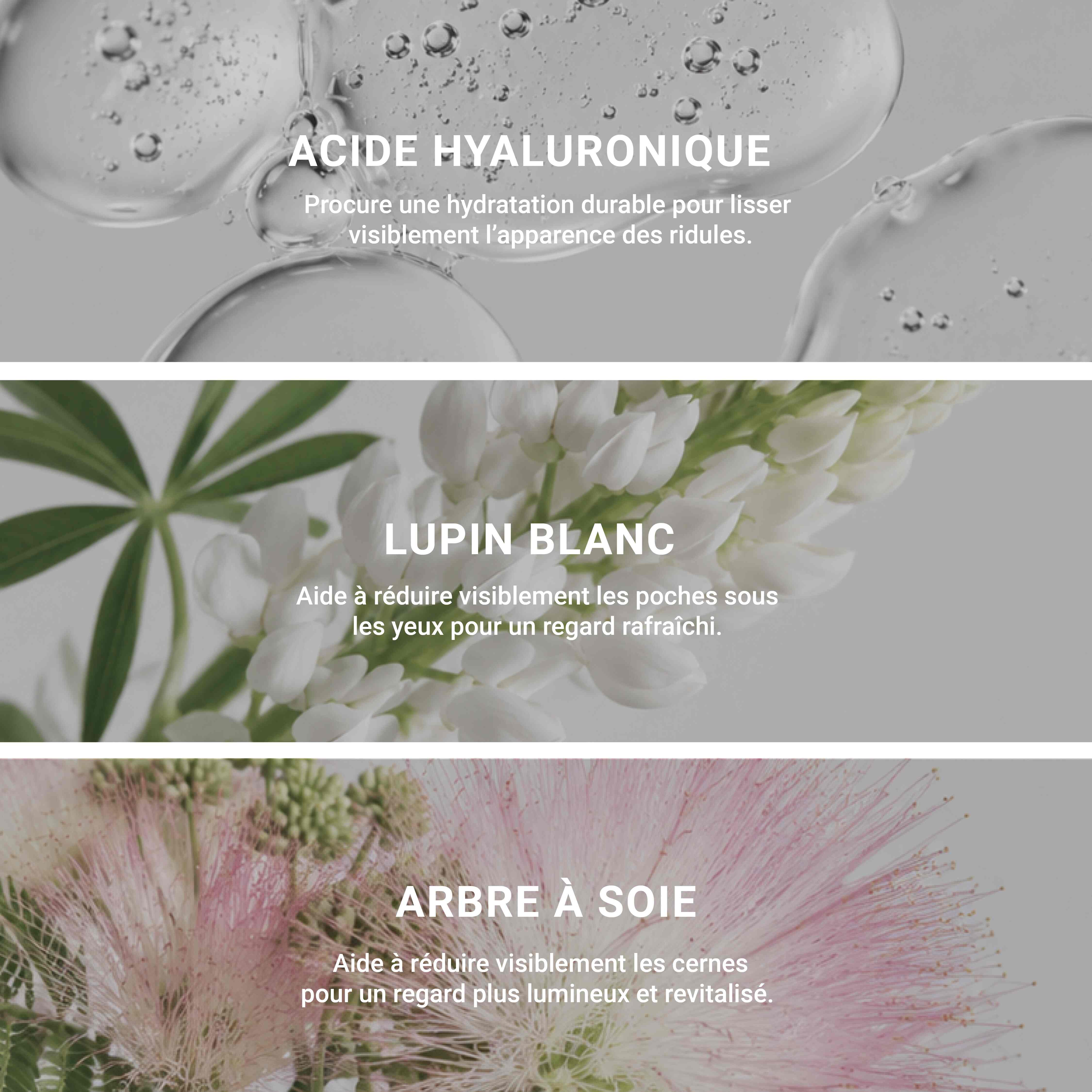 Le Contour – Excellence Code