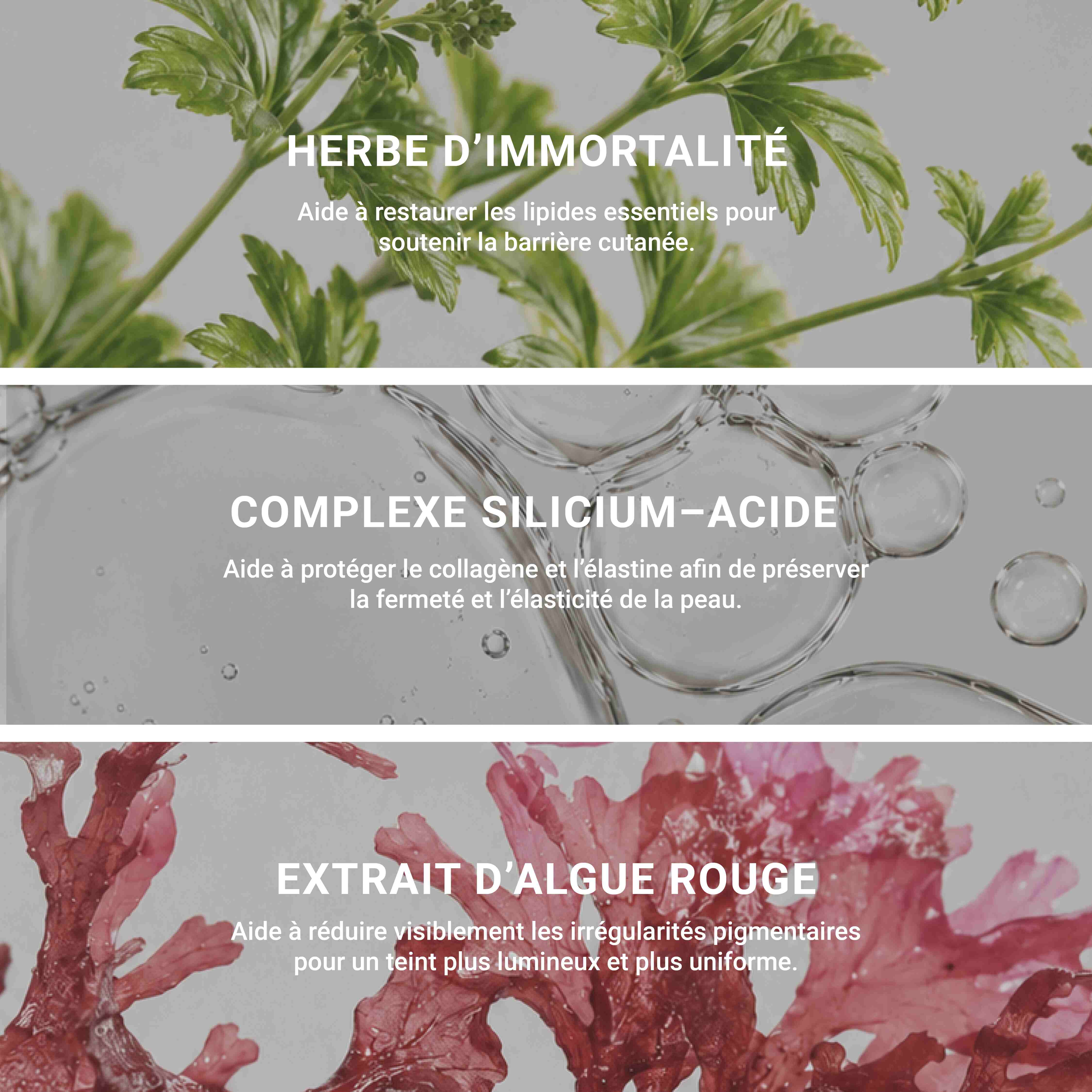La Crème – Excellence Code