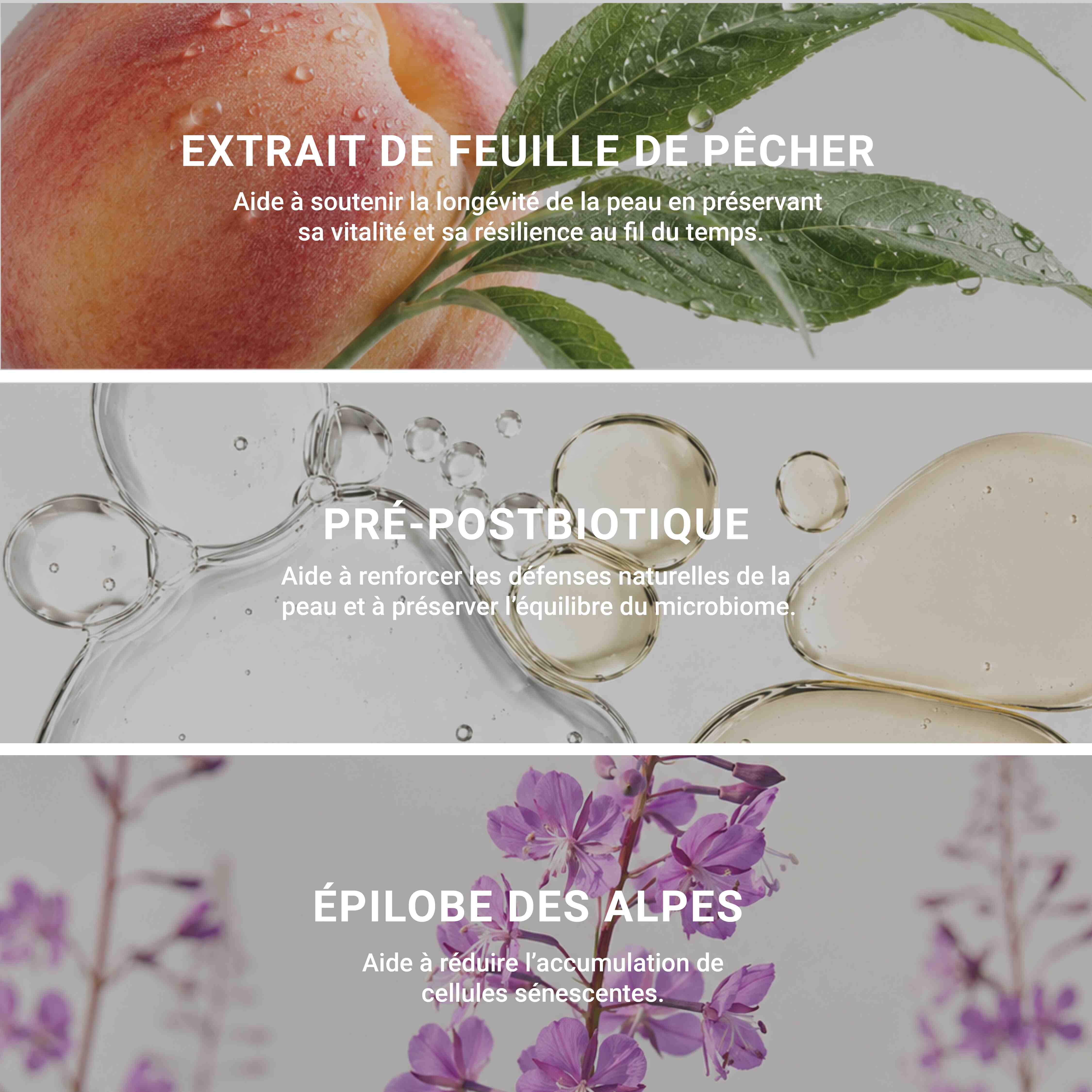 Le Sérum – Excellence Code